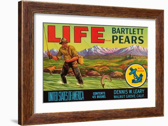 Life Brand Bartlett Pears-Schmidt Lithograph Co-Framed Art Print