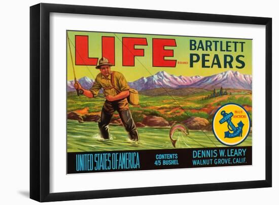 Life Brand Bartlett Pears-Schmidt Lithograph Co-Framed Art Print