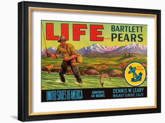 Life Brand Bartlett Pears-Schmidt Lithograph Co-Framed Art Print