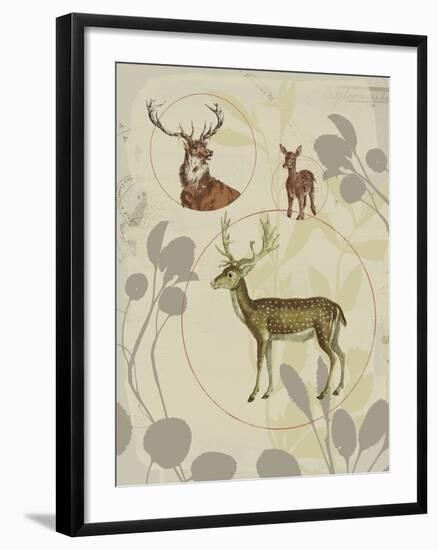 Life Cycle V-Ken Hurd-Framed Giclee Print