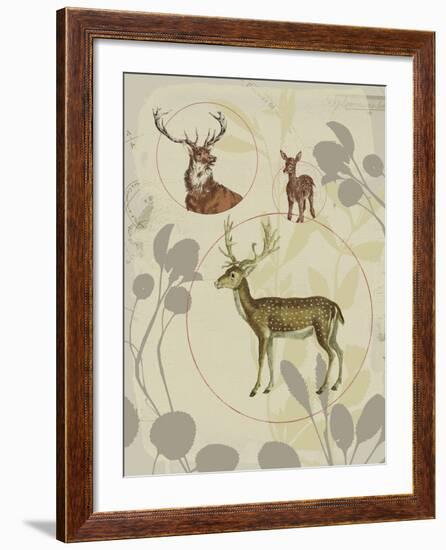 Life Cycle V-Ken Hurd-Framed Giclee Print