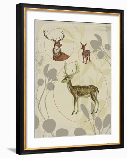 Life Cycle V-Ken Hurd-Framed Giclee Print