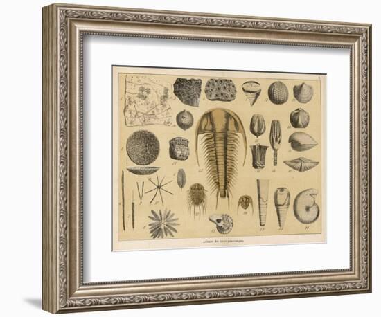 Life-Forms of the Paleozoic Epoch-Ferdinand Von Hochstetter-Framed Art Print