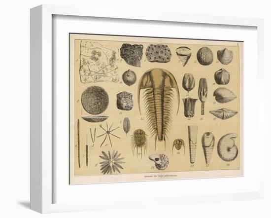 Life-Forms of the Paleozoic Epoch-Ferdinand Von Hochstetter-Framed Art Print