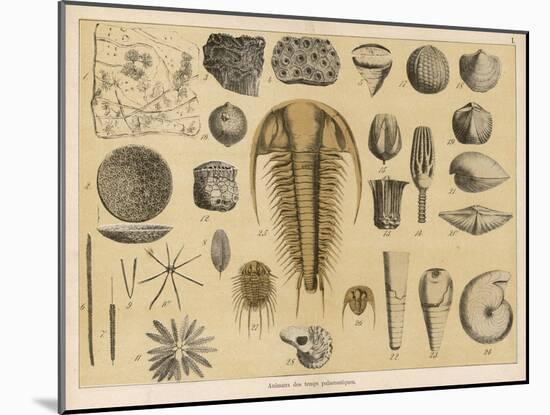 Life-Forms of the Paleozoic Epoch-Ferdinand Von Hochstetter-Mounted Art Print