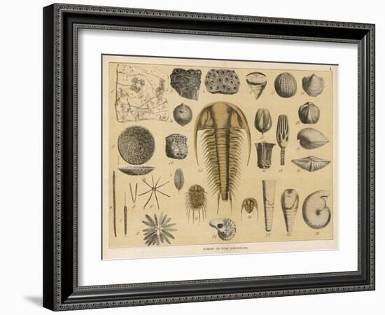 Life-Forms of the Paleozoic Epoch-Ferdinand Von Hochstetter-Framed Art Print