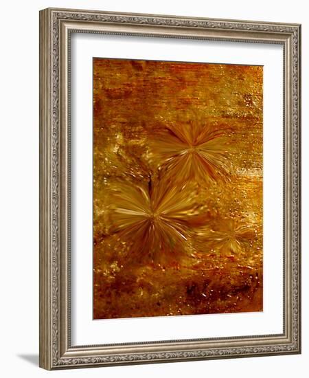 Life fusion-Kenny Primmer-Framed Art Print