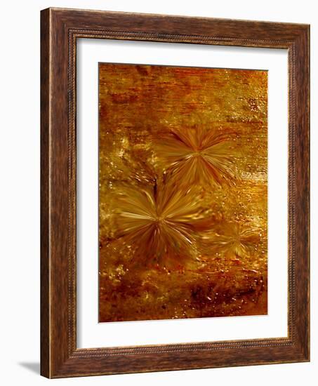 Life fusion-Kenny Primmer-Framed Art Print