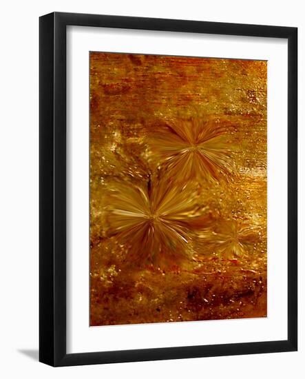 Life fusion-Kenny Primmer-Framed Art Print