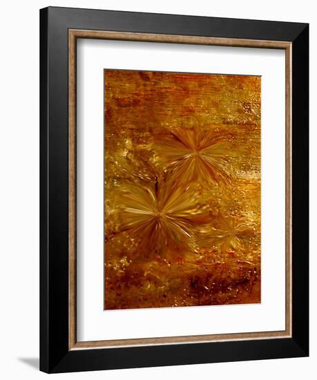 Life fusion-Kenny Primmer-Framed Art Print