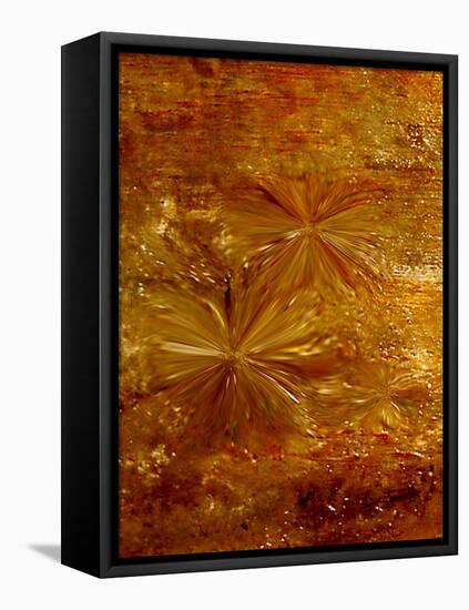 Life fusion-Kenny Primmer-Framed Stretched Canvas