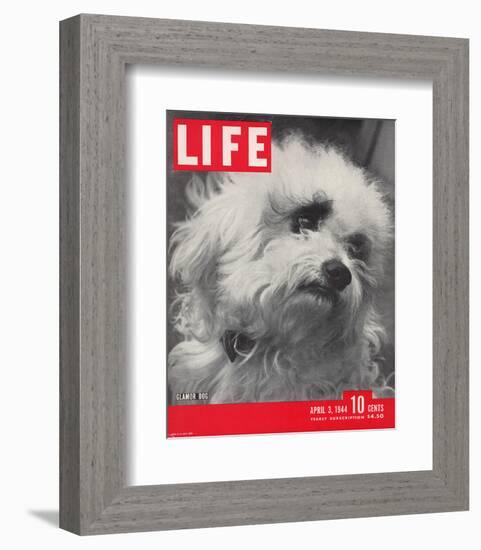 LIFE Glamour Dog Pooch 1944-null-Framed Premium Giclee Print