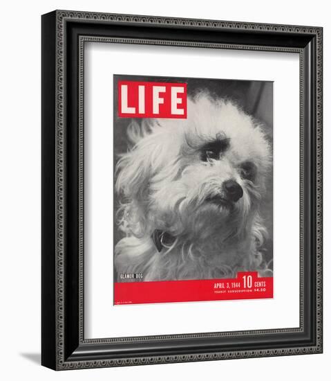 LIFE Glamour Dog Pooch 1944-null-Framed Premium Giclee Print