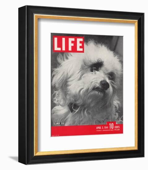 LIFE Glamour Dog Pooch 1944-null-Framed Premium Giclee Print