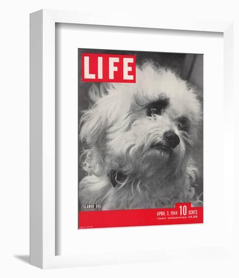 LIFE Glamour Dog Pooch 1944-null-Framed Premium Giclee Print