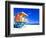 Life Guard Station, South Beach, Miami, Florida, USA-Terry Eggers-Framed Photographic Print