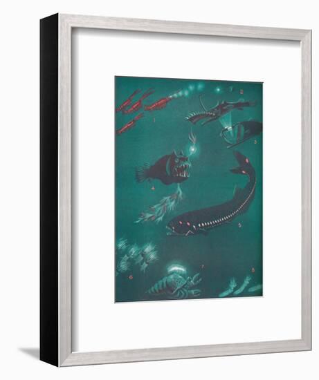 'Life Half a Mile Below The Sea's Surface', 1935-Unknown-Framed Giclee Print