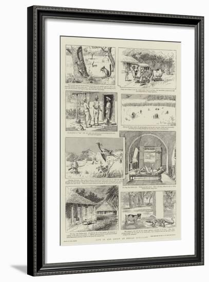 Life in and About an Indian Bungalow-Paul Destez-Framed Giclee Print