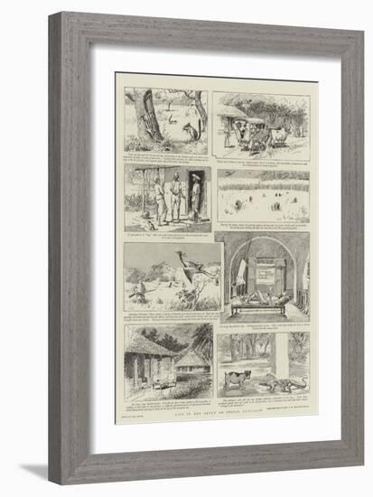 Life in and About an Indian Bungalow-Paul Destez-Framed Giclee Print