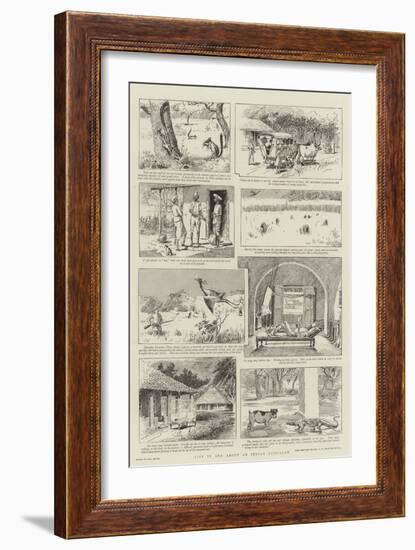 Life in and About an Indian Bungalow-Paul Destez-Framed Giclee Print