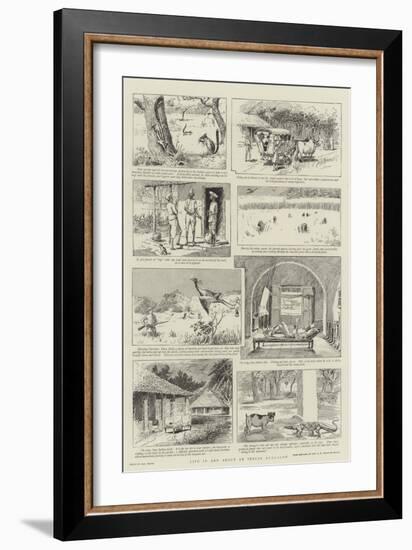 Life in and About an Indian Bungalow-Paul Destez-Framed Giclee Print