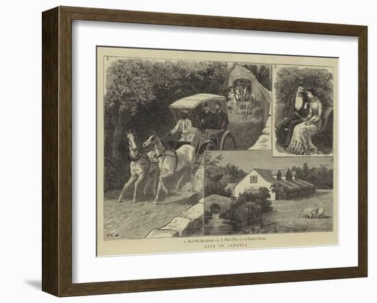 Life in Jamaica-John Charles Dollman-Framed Giclee Print