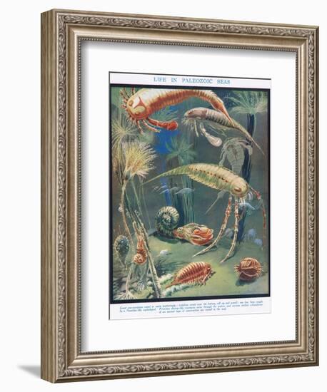 Life in Paleozoic Seas, Illustration from 'The Science of Life'-Leonard Robert Brightwell-Framed Giclee Print