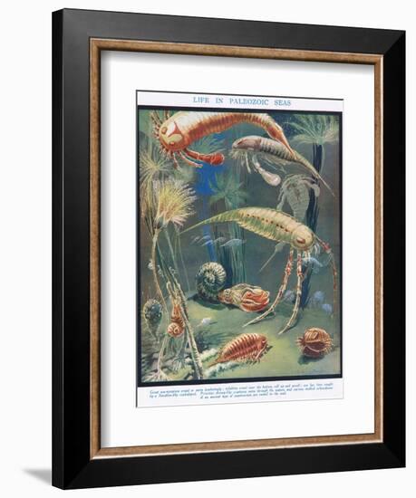 Life in Paleozoic Seas, Illustration from 'The Science of Life'-Leonard Robert Brightwell-Framed Giclee Print