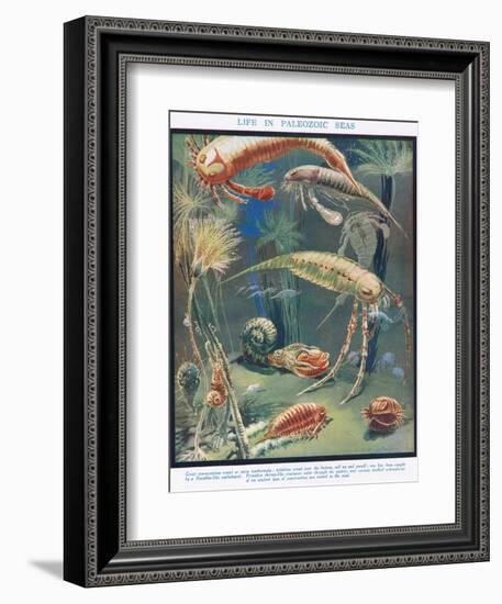 Life in Paleozoic Seas, Illustration from 'The Science of Life'-Leonard Robert Brightwell-Framed Giclee Print