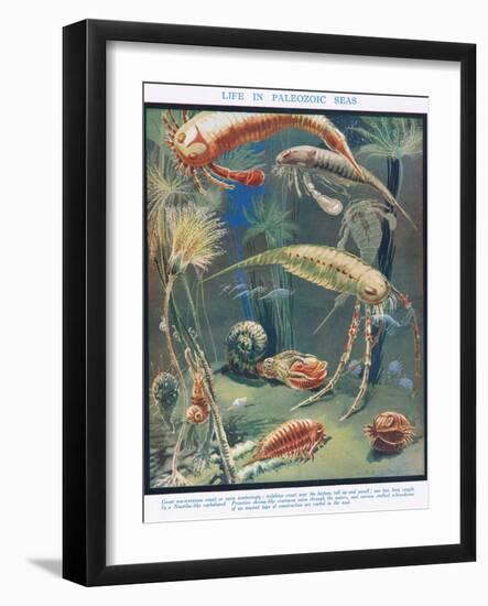 Life in Paleozoic Seas, Illustration from 'The Science of Life'-Leonard Robert Brightwell-Framed Giclee Print