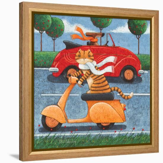 Life in the Fast Lane-Peter Adderley-Framed Stretched Canvas