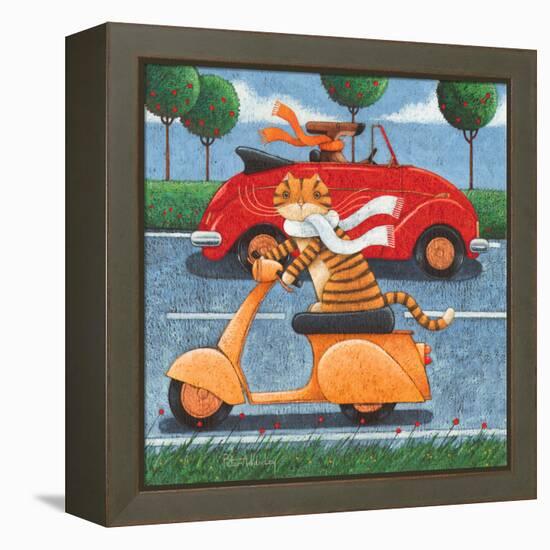 Life in the Fast Lane-Peter Adderley-Framed Stretched Canvas