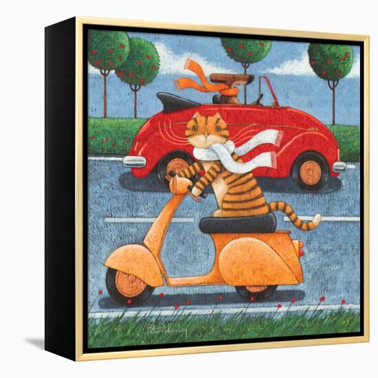 Life in the Fast Lane-Peter Adderley-Framed Stretched Canvas