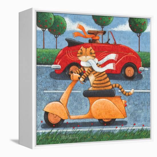 Life in the Fast Lane-Peter Adderley-Framed Stretched Canvas