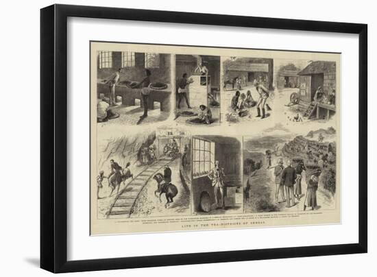 Life in the Tea-Districts of Bengal-William Ralston-Framed Giclee Print