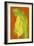 Life in the Tropics II-Soraya Chemaly-Framed Giclee Print