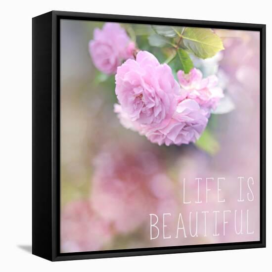 Life is Beautiful-Sarah Gardner-Framed Stretched Canvas