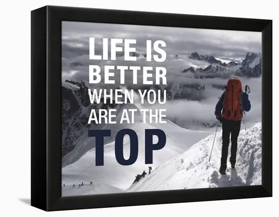 Life is Better at the Top-Richardson Peter-Framed Stretched Canvas