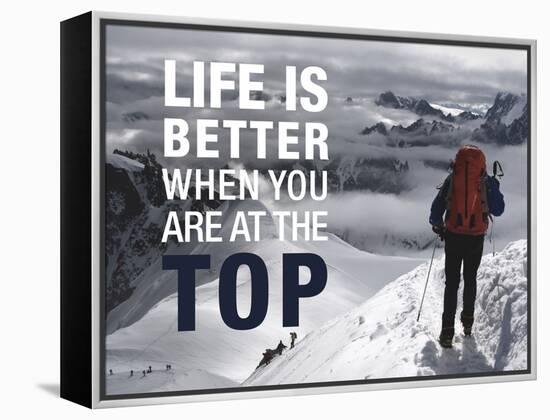 Life is Better at the Top-Richardson Peter-Framed Stretched Canvas