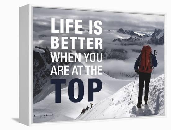 Life is Better at the Top-Richardson Peter-Framed Stretched Canvas