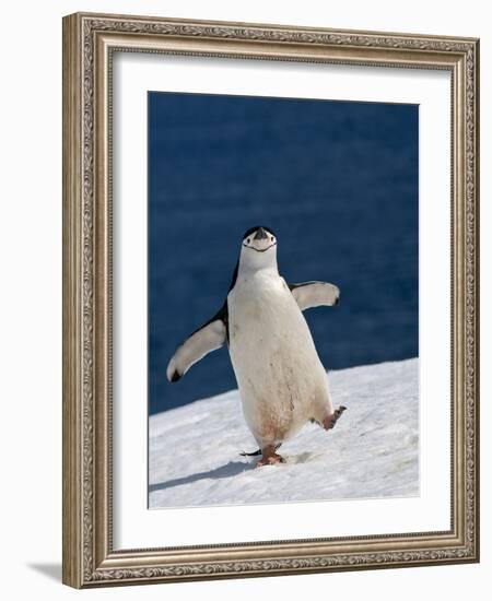 Life Is Good-Sergey Kokinskiy-Framed Photographic Print