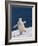 Life Is Good-Sergey Kokinskiy-Framed Photographic Print