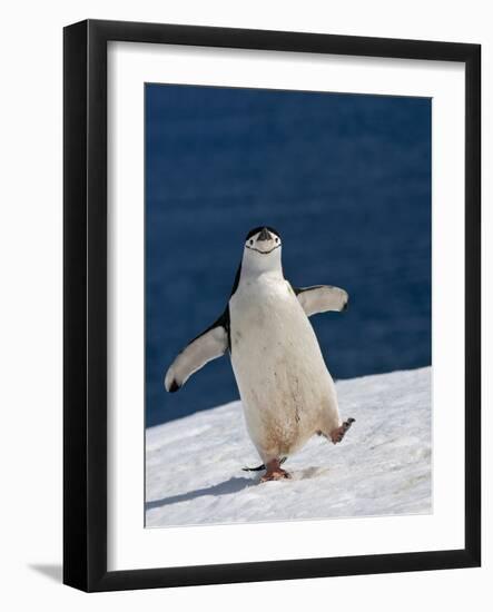 Life Is Good-Sergey Kokinskiy-Framed Photographic Print