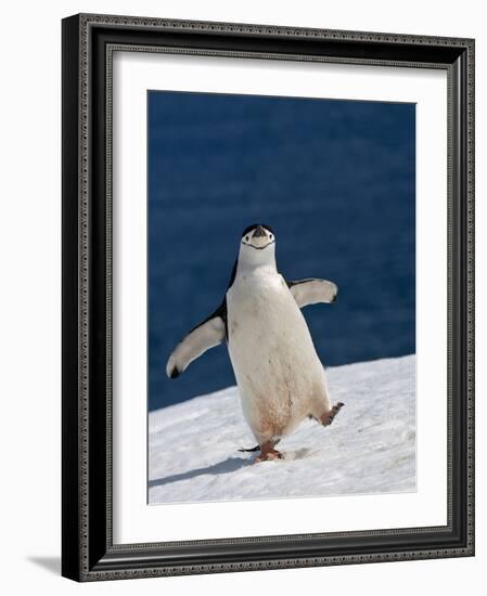 Life Is Good-Sergey Kokinskiy-Framed Photographic Print