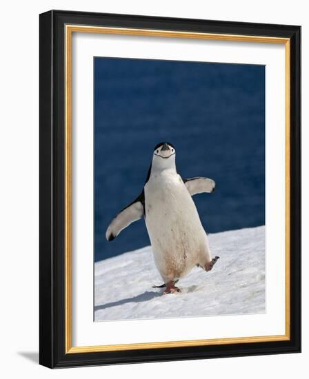 Life Is Good-Sergey Kokinskiy-Framed Photographic Print