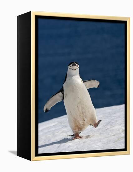 Life Is Good-Sergey Kokinskiy-Framed Premier Image Canvas