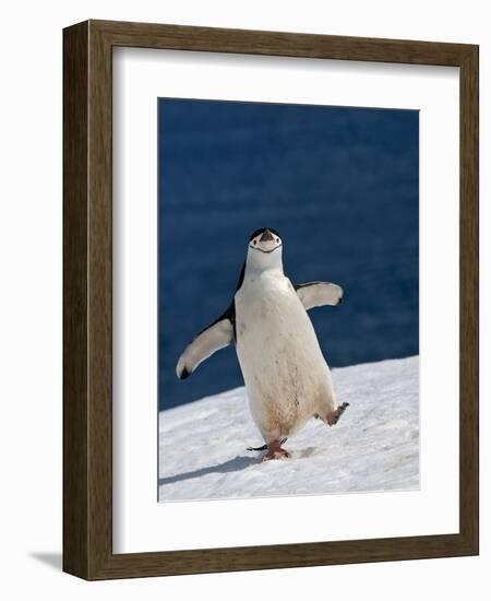 Life Is Good-Sergey Kokinskiy-Framed Photographic Print