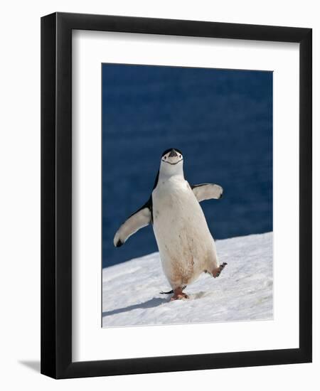 Life Is Good-Sergey Kokinskiy-Framed Photographic Print