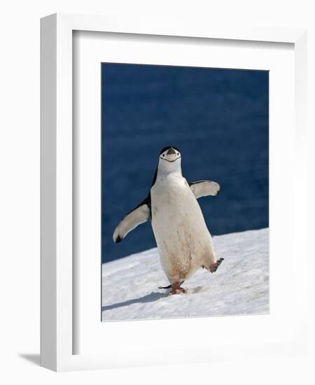 Life Is Good-Sergey Kokinskiy-Framed Photographic Print