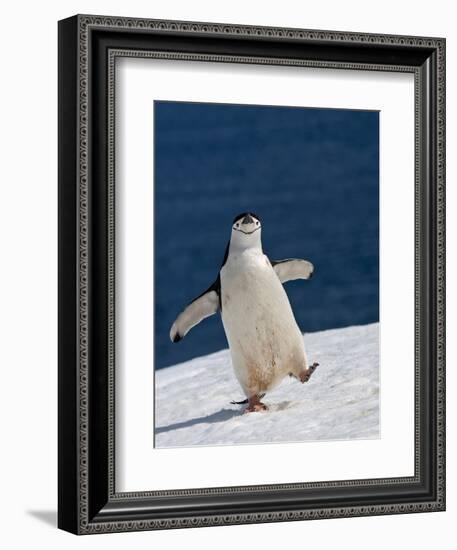 Life Is Good-Sergey Kokinskiy-Framed Photographic Print